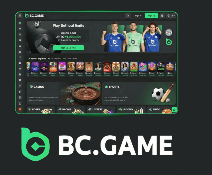 Complete Guide to BC.Game Mirror Registration -399161041